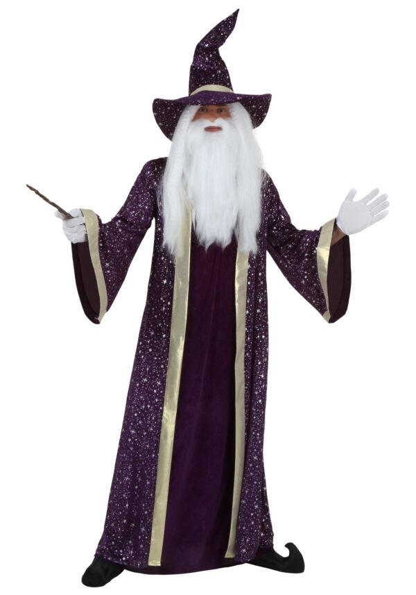 Adult Purple Wizard Costume with Hat