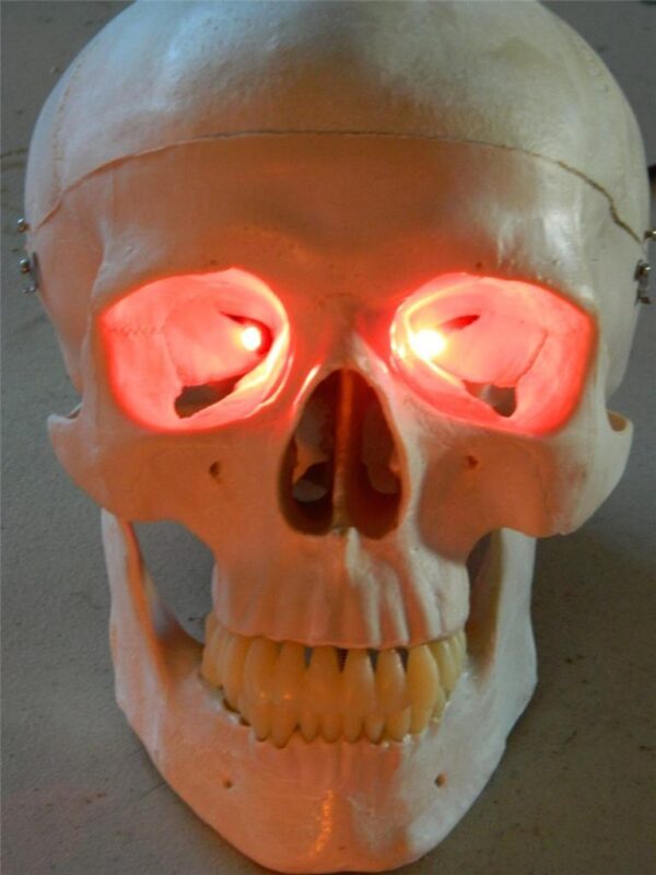 Red Flickering LED Eye Kit for Skull Props