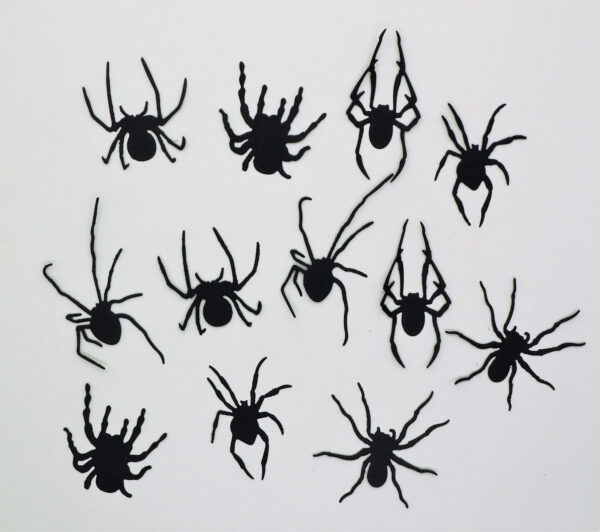 Black Spider Cardstock Die Cuts — Set of 12