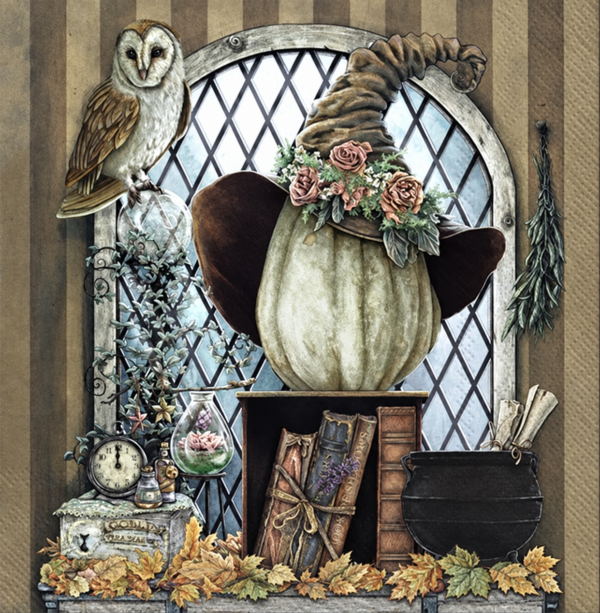 Witch Hat and Owl Craft Napkins — Two Pieces